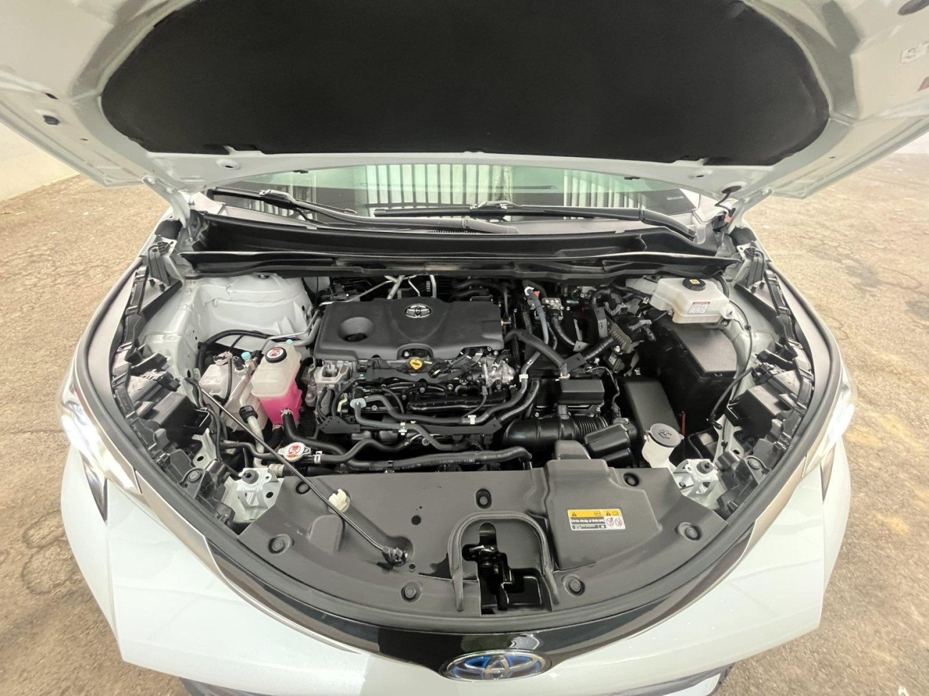 Toyota Sienna 2022