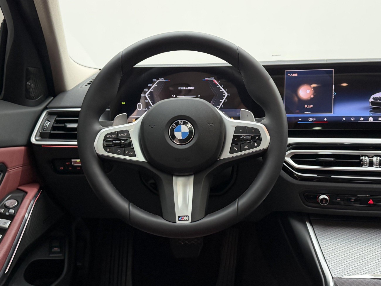 BMW 325Li 2024