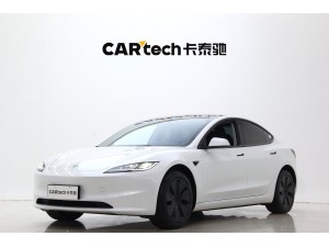 Tesla Model 3 2025