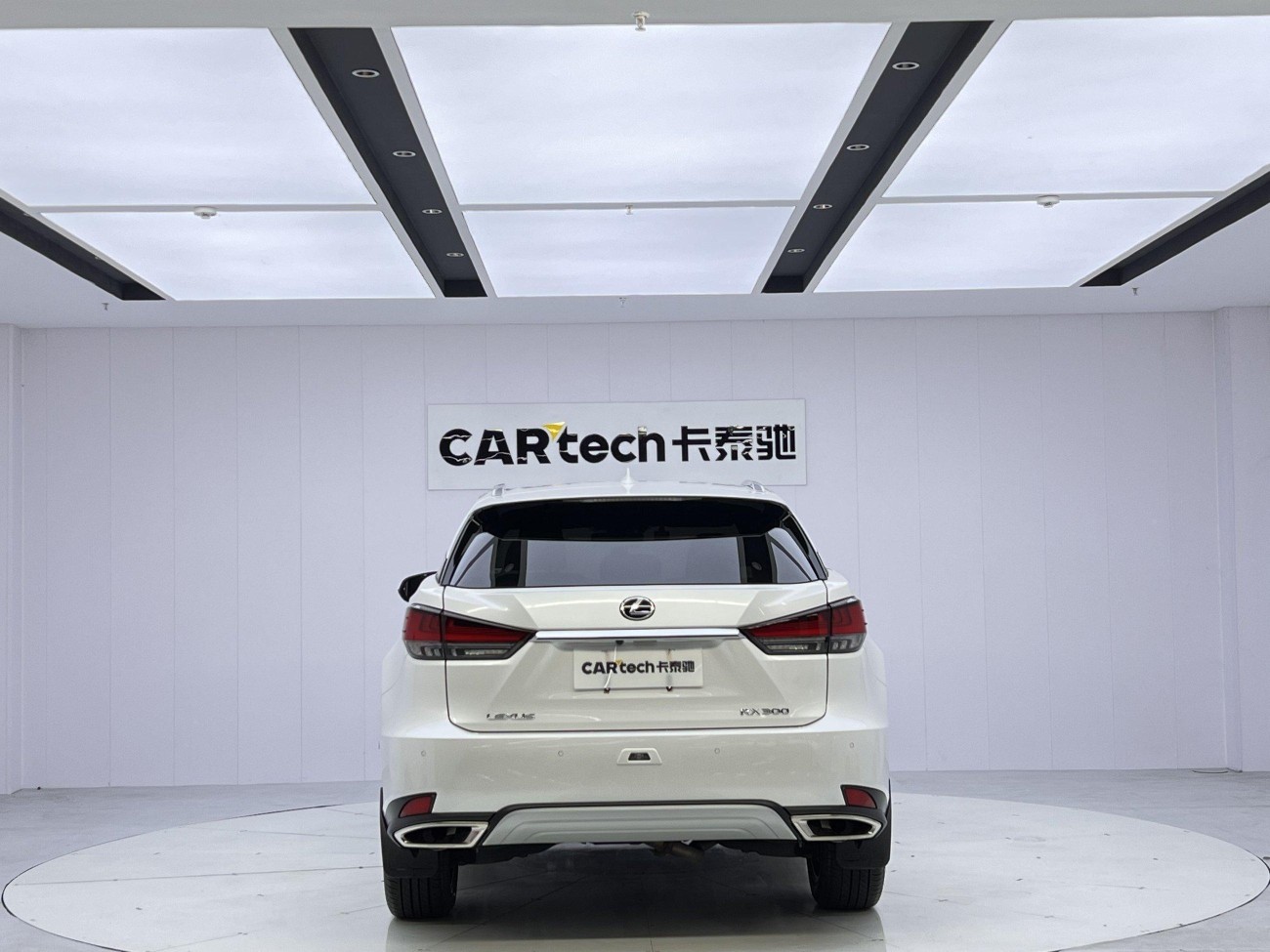 Lexus RX 202 2022
