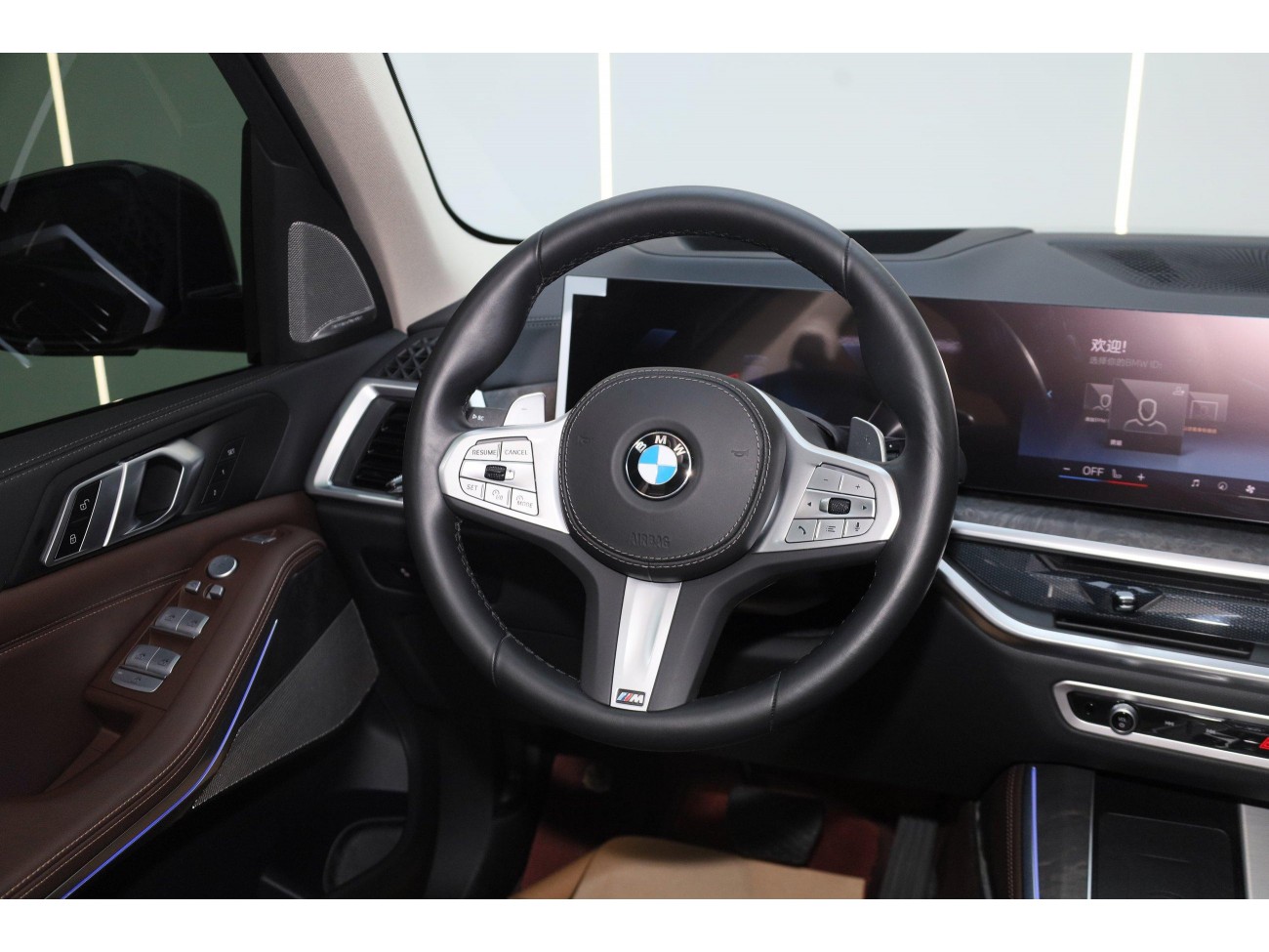 BMW X5 2024