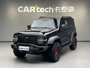 Tank 300 2024