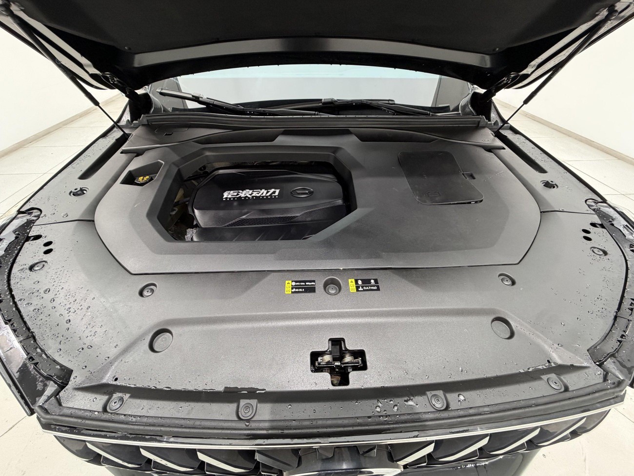 Trumpchi GS8 2023