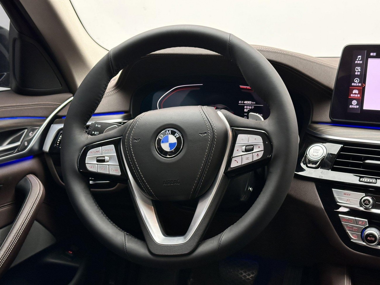 BMW 530Li 2021