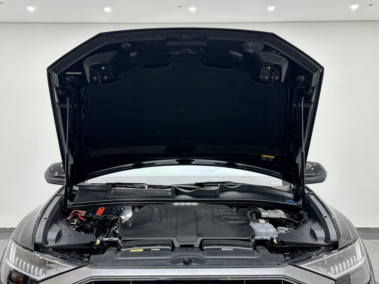 Audi Q8 45 TFSI 2023