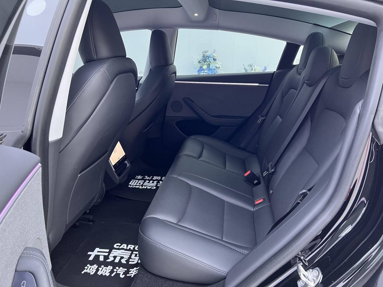 Tesla Model 3 2024