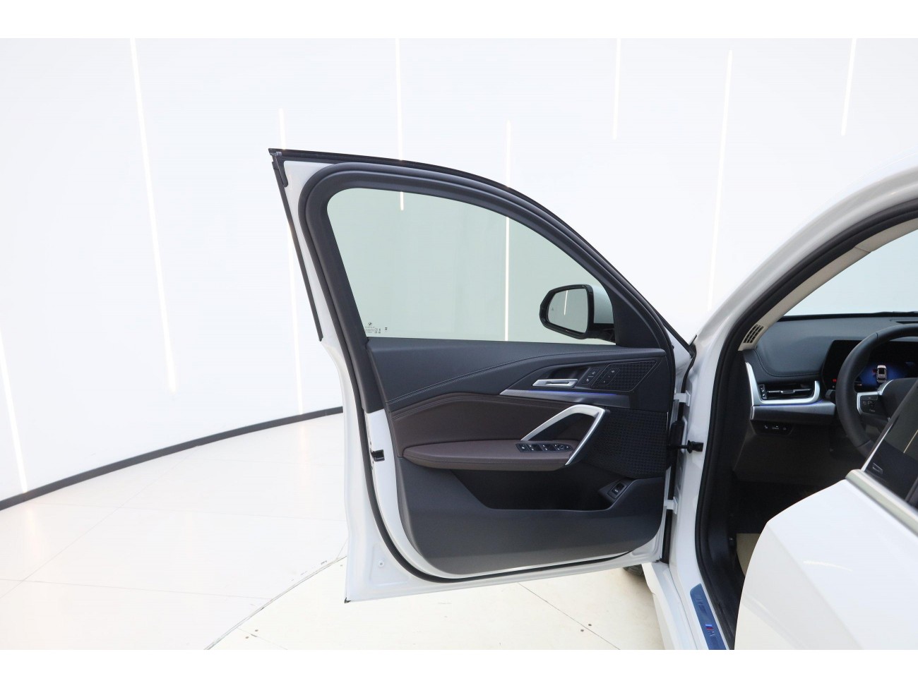 BMW X1 2025