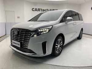 Buick GL8 2024