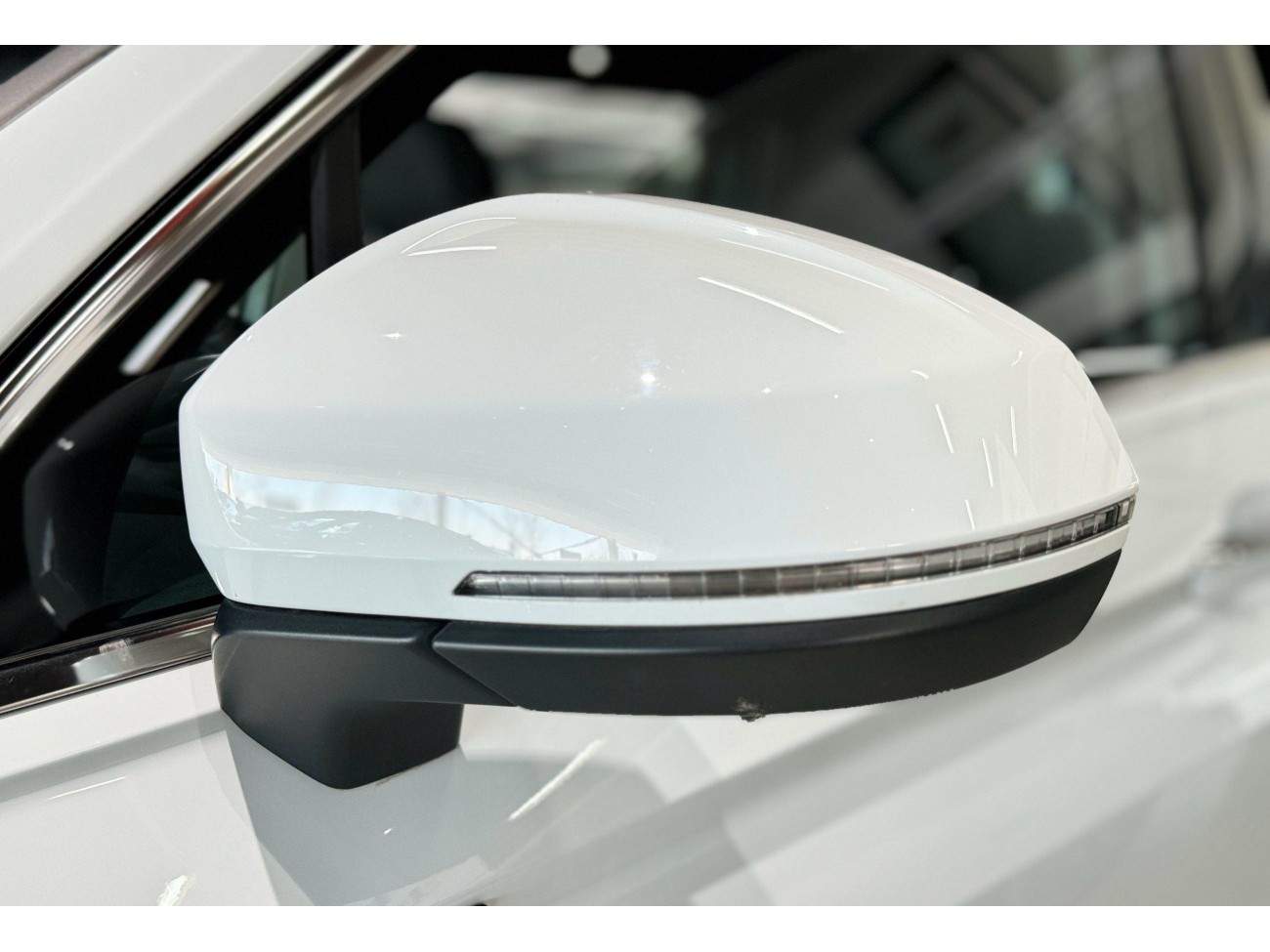 Volkswagen Tiguan L 2024