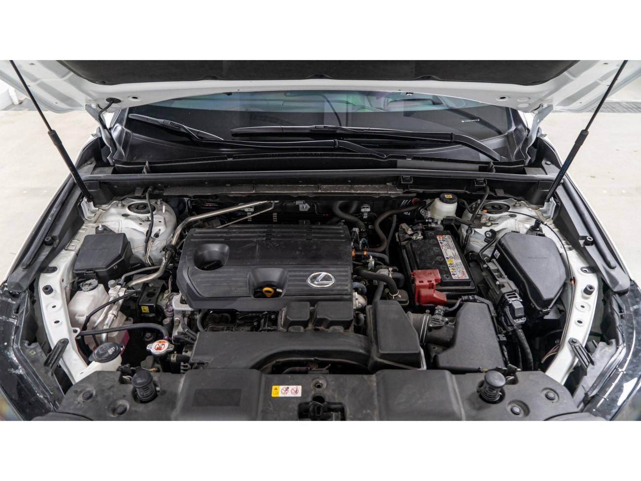 Lexus NX 260 2023