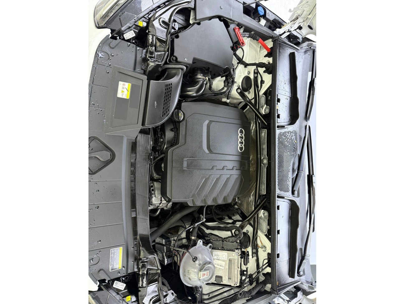 Audi Q5L 40 2024