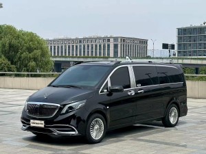 Mercedes-Benz 2021 2022