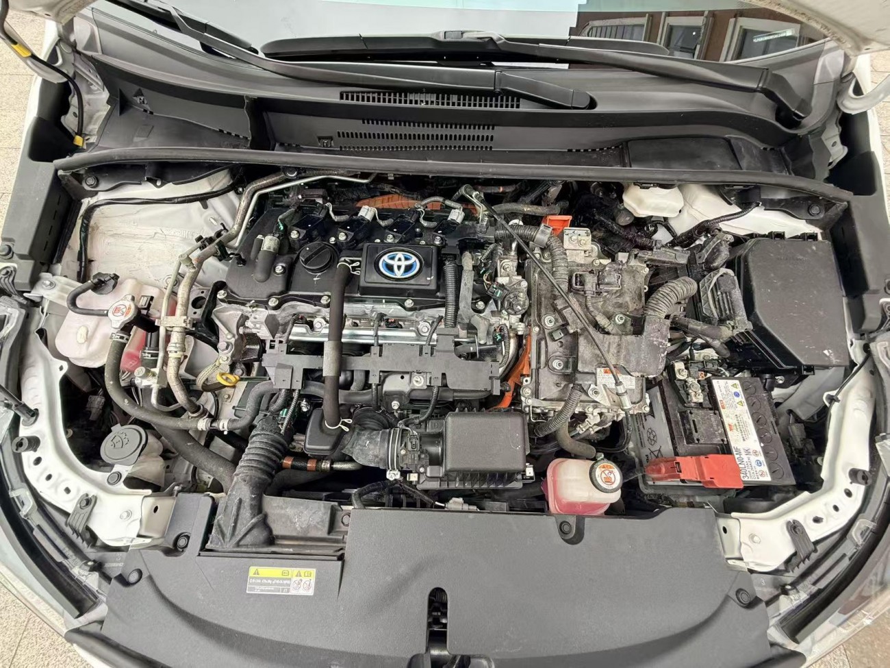 Toyota Levin 2023