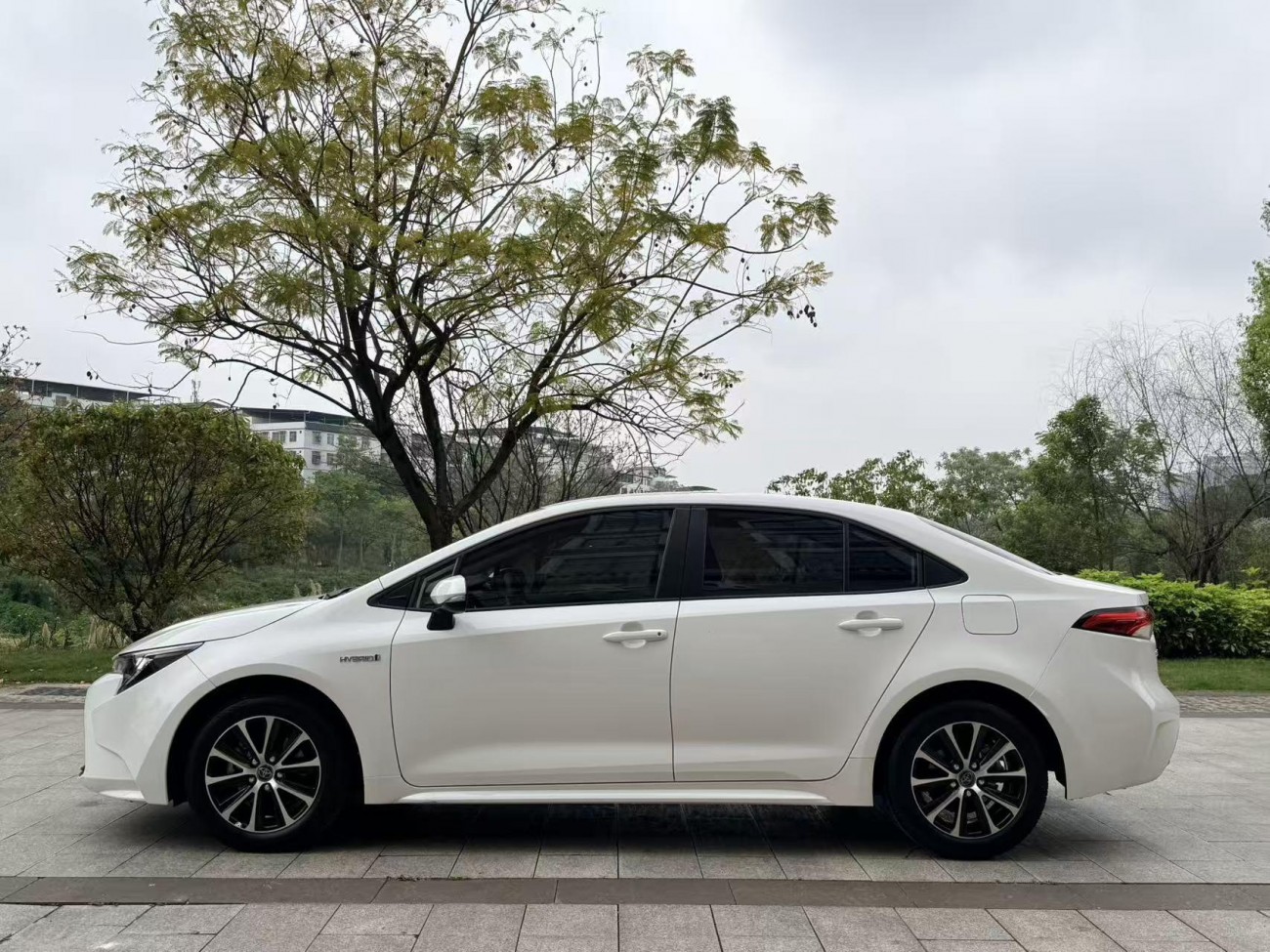 Toyota Levin 2023
