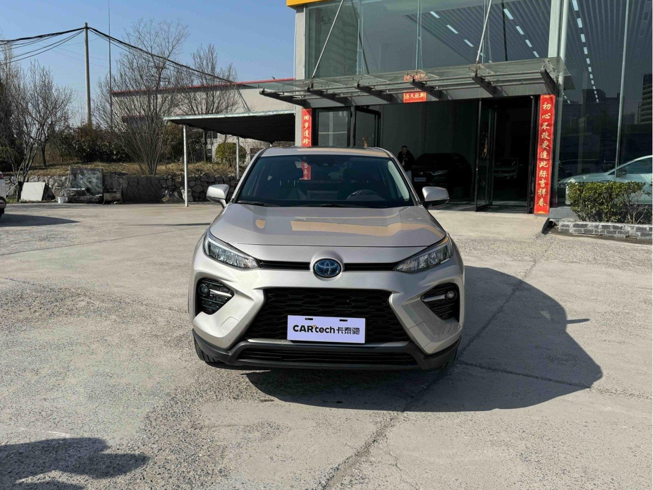 Toyota Wildlander 2021