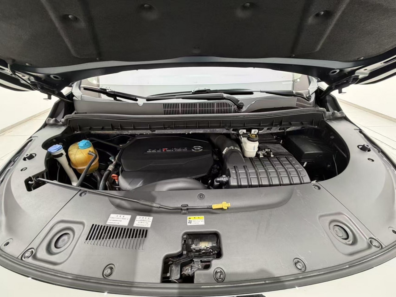 Trumpchi M8 2021