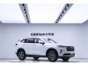 Haval H6 2022