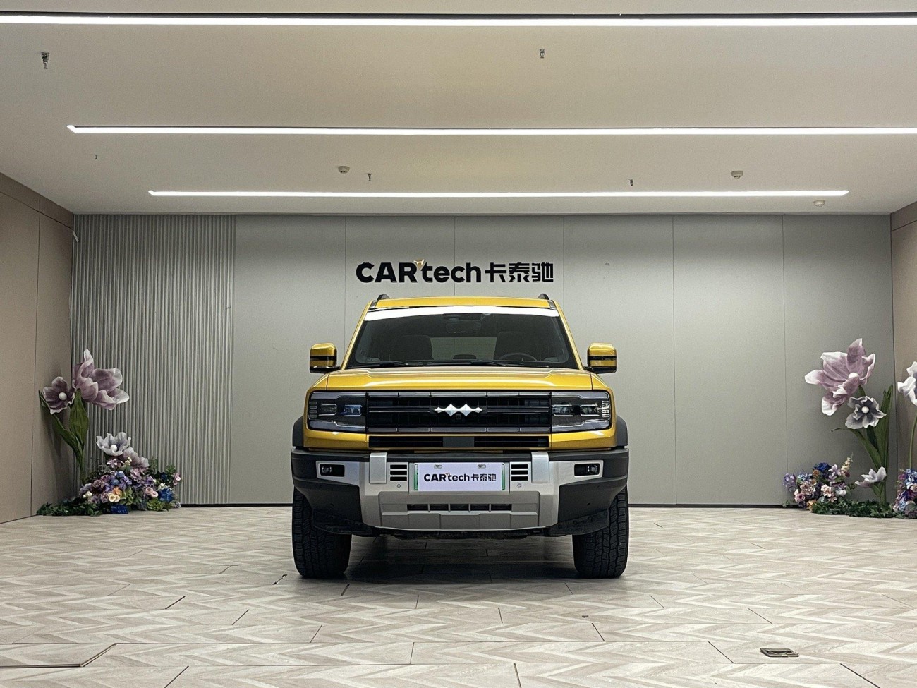 Fang Cheng Bao Bao 5 2024