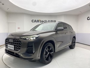 Audi Q6 50 TFSI 2022