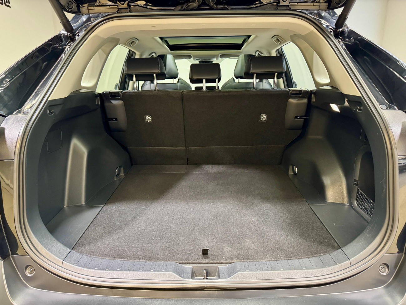 Toyota Wildlander 2023