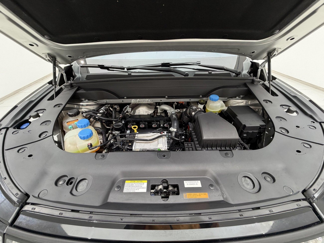 Dongfeng eπ008 2024