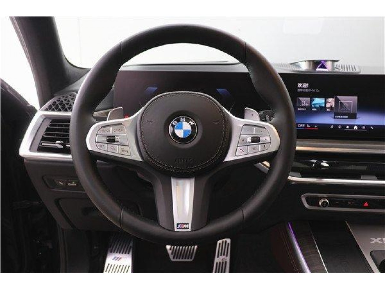 BMW X5 2024