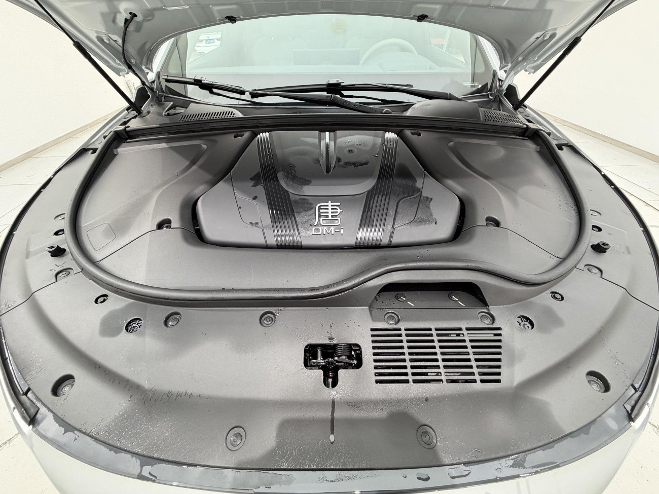 BYD Tang 2025