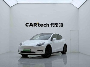 Tesla Model Y 2021