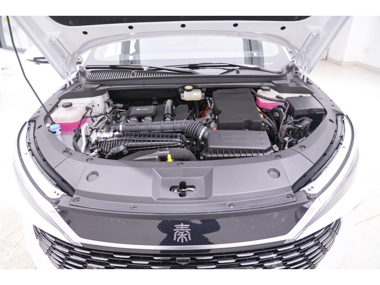 BYD Qin 2025