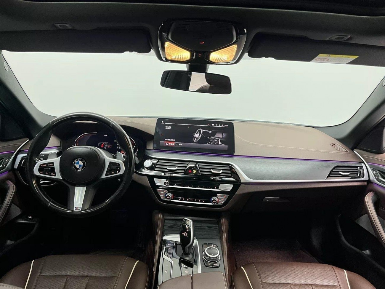 BMW 530Li 2022
