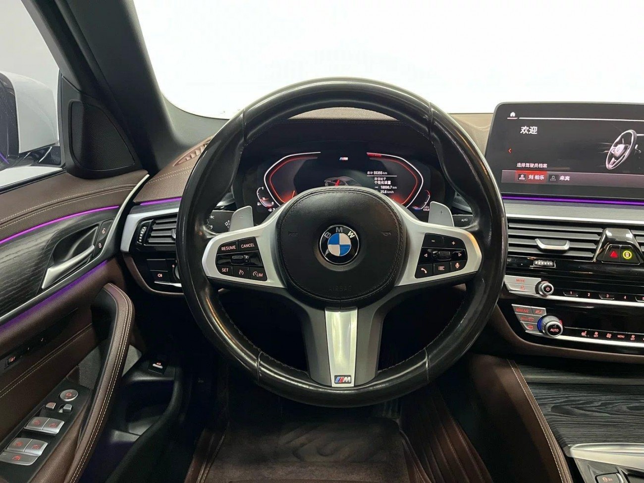 BMW 530Li 2022
