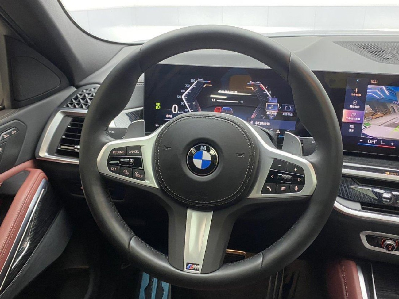 BMW X6 2024