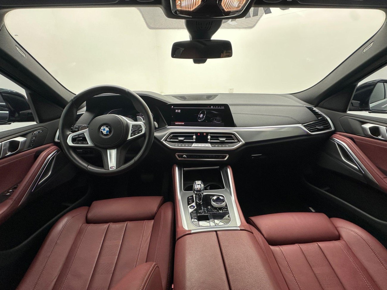 BMW X6 2021