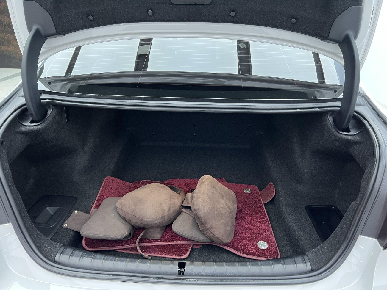 BMW 530Li 2021