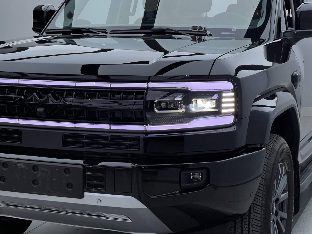 Fang Cheng Bao Bao 5 2025