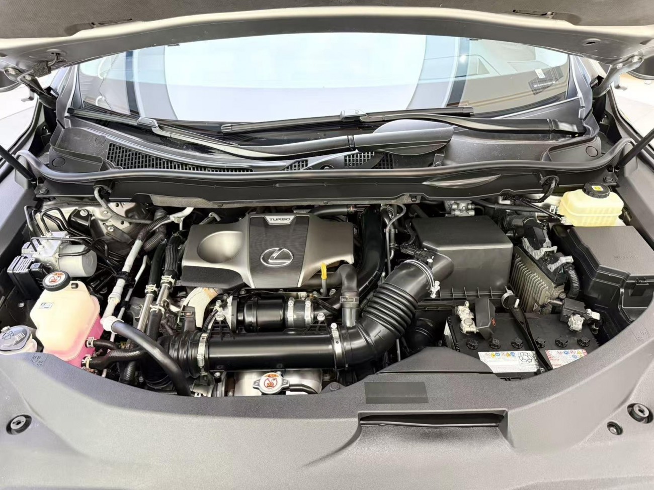 Lexus RX 202 2021