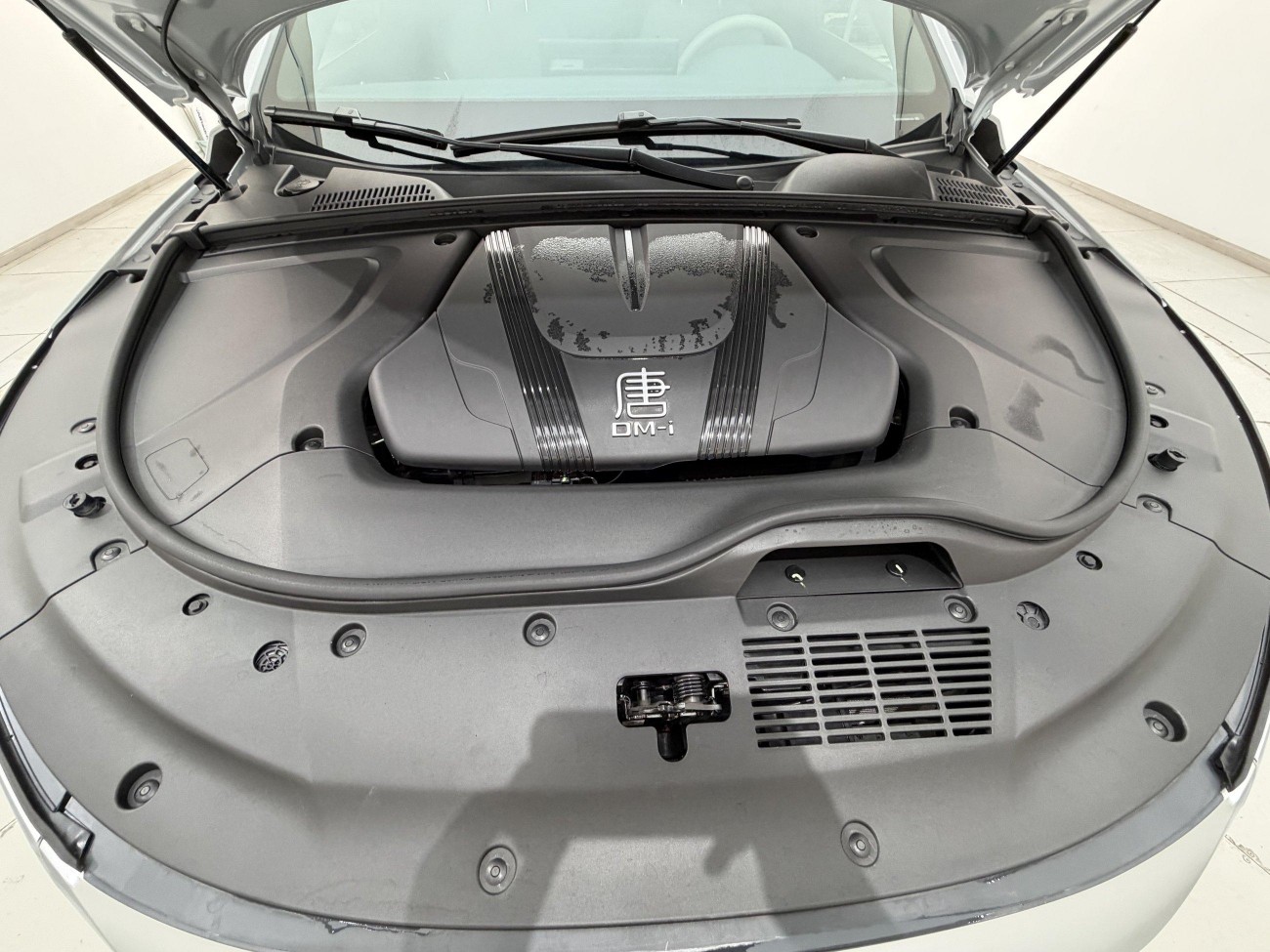 BYD Tang 2025