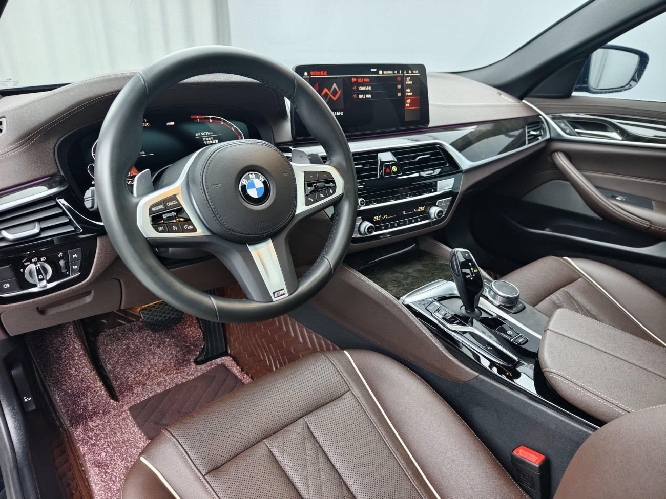 BMW 530Li 2022