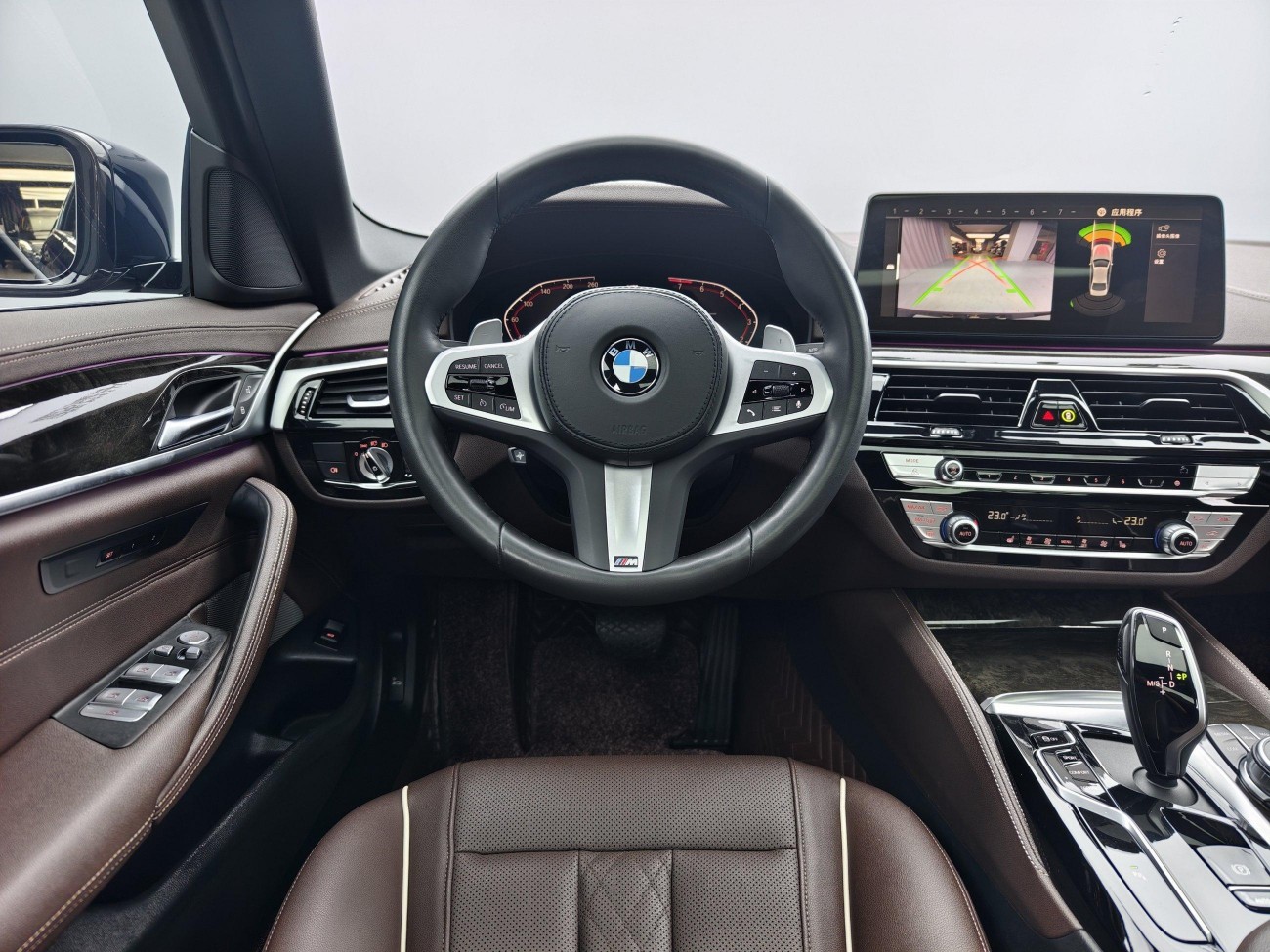 BMW 530Li 2022
