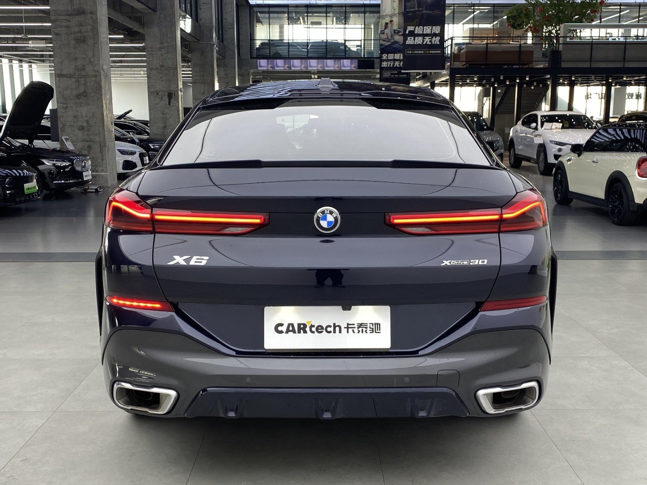 BMW X6 2024