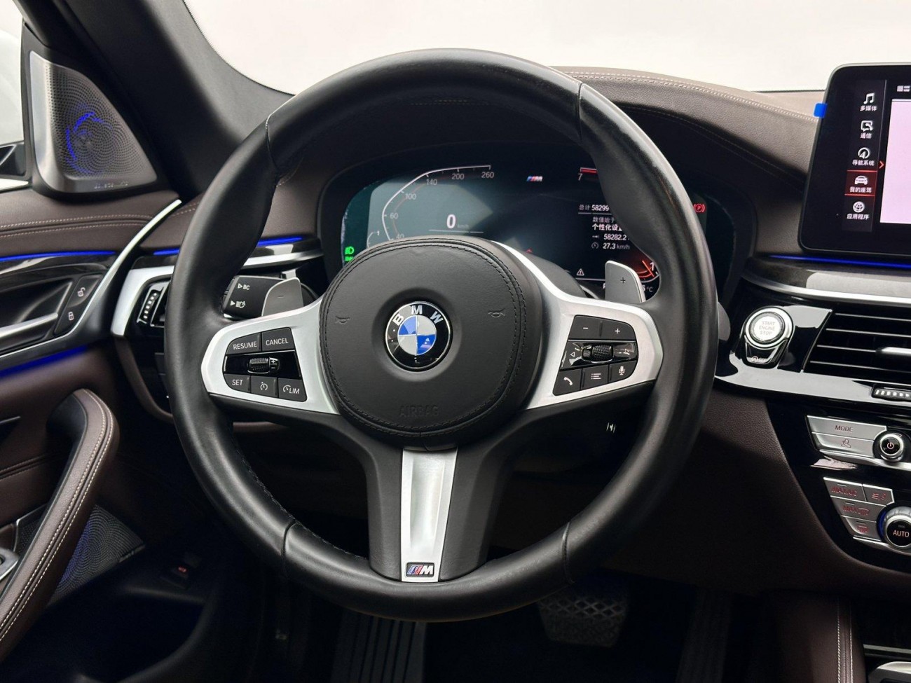 BMW 530Li 2021