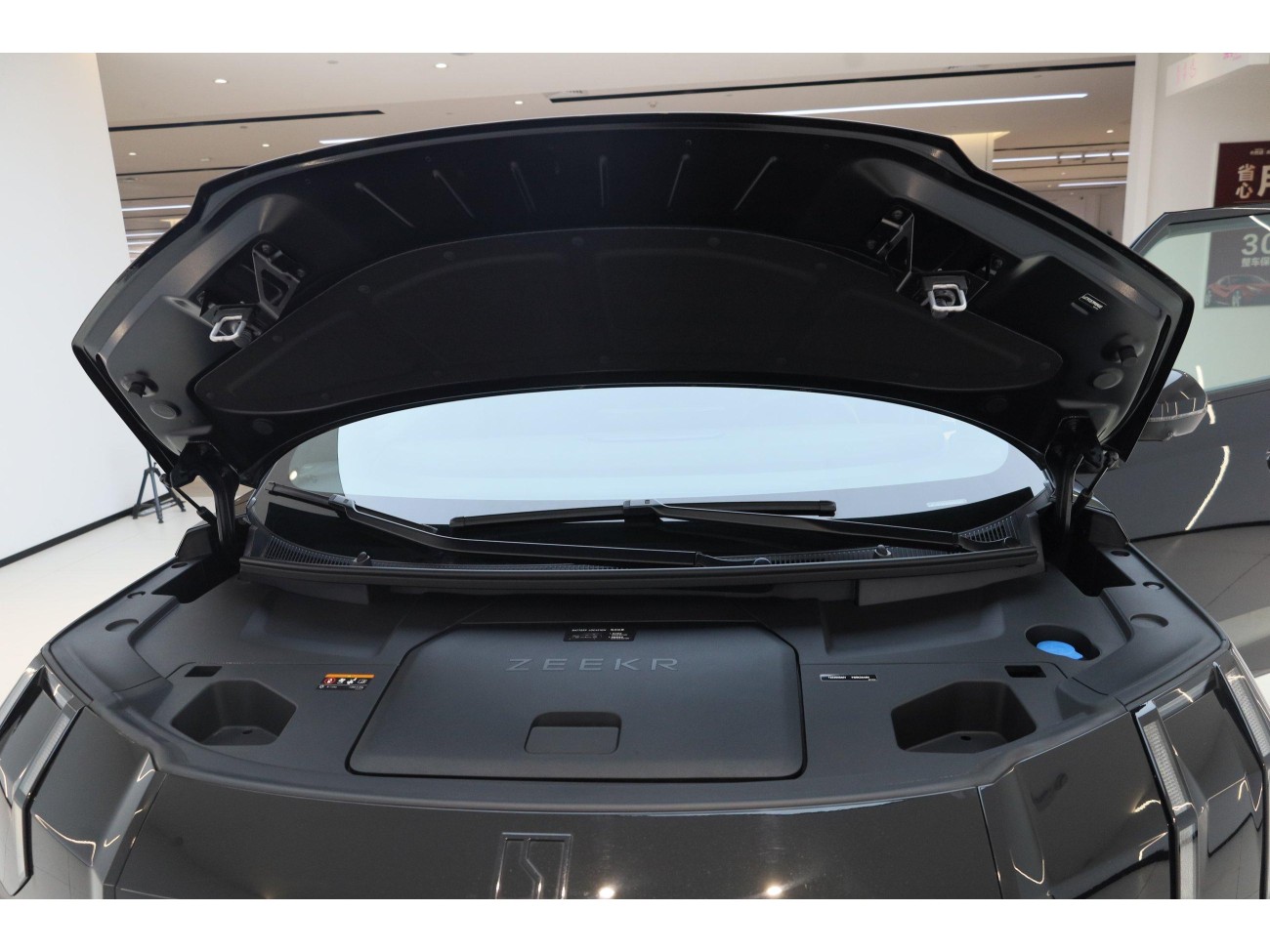 Zeekr 009 2023