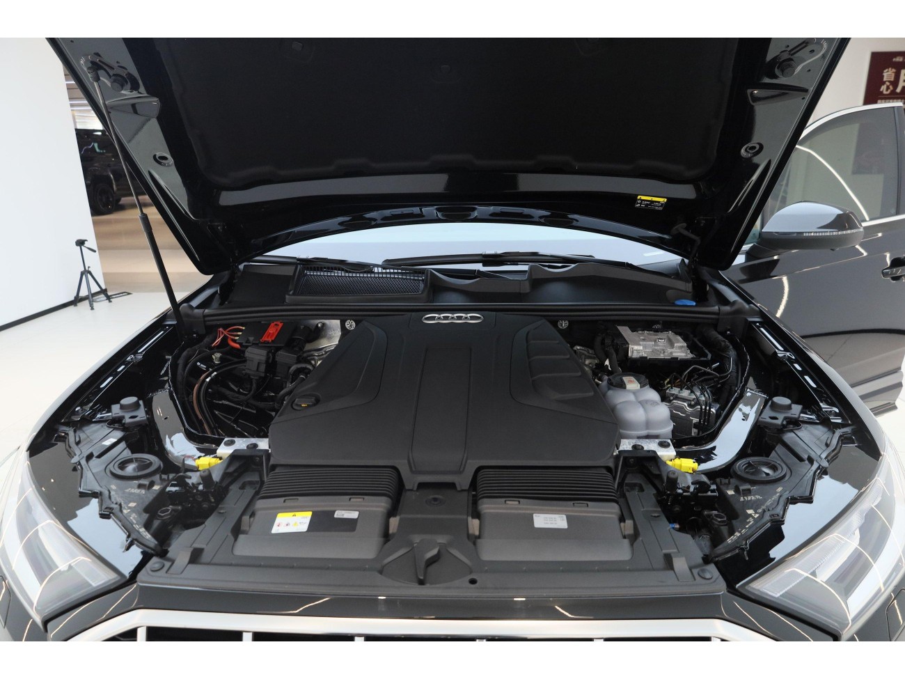 Audi Q7 45 TFSI 2023