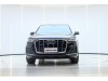 Audi Q7 45 TFSI 2023