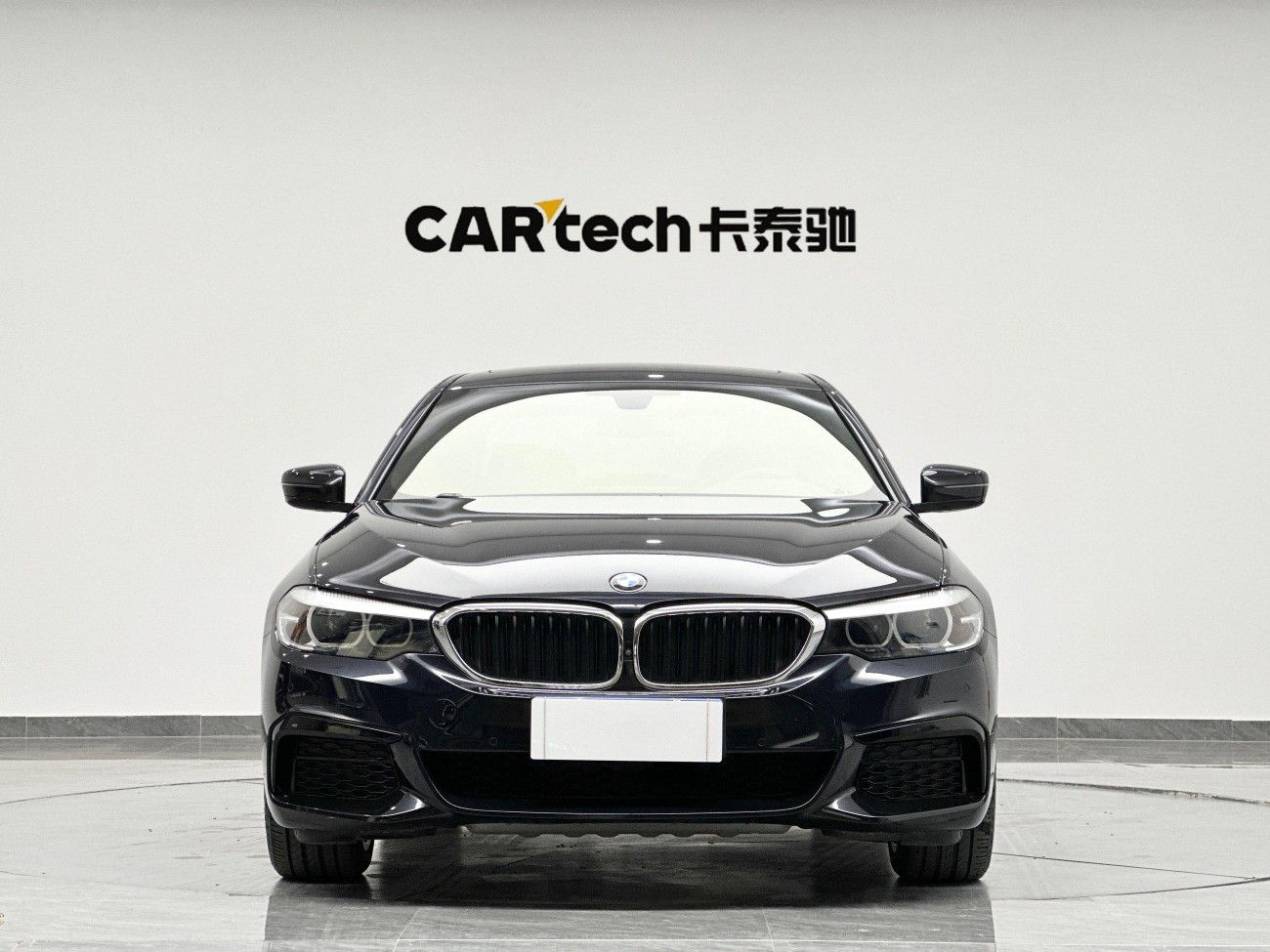 BMW 530Li 2019