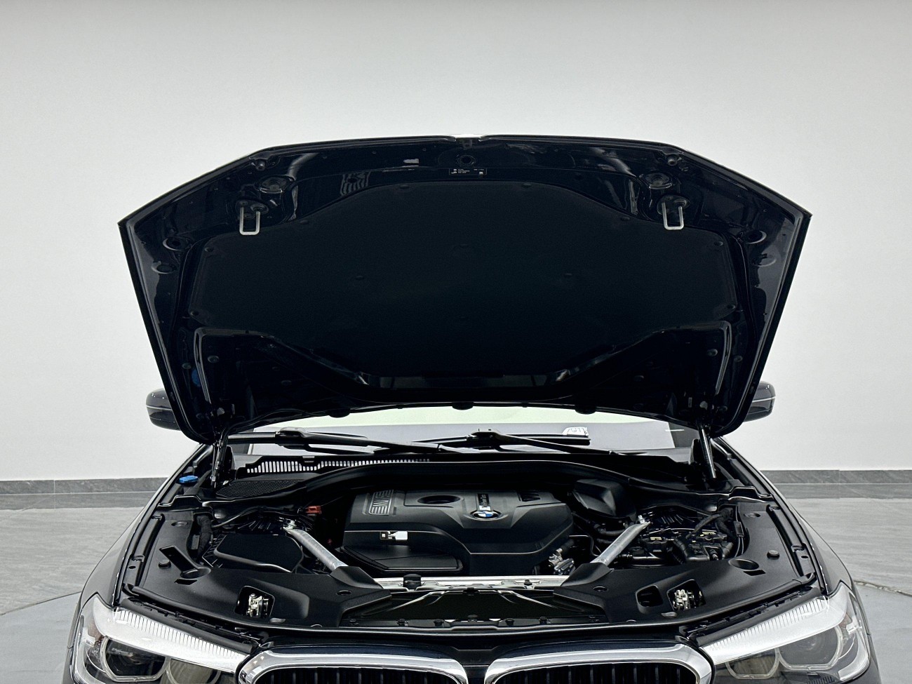 BMW 530Li 2019