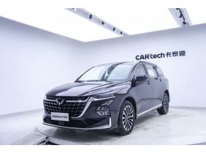Wuling 2023 2023