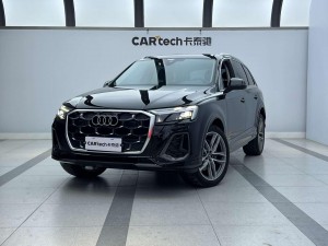 Audi Q7 45 TFSI 2024