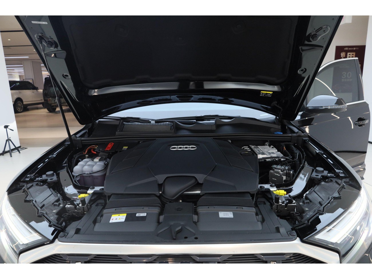 Audi Q7 55 TFSI 2026