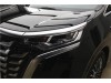 Denza D9 2025